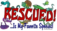 RESCUEDIsMyFavoriteSpeciesReptile