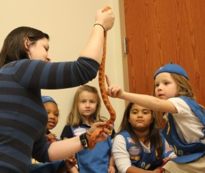 Girl Scout Presentation